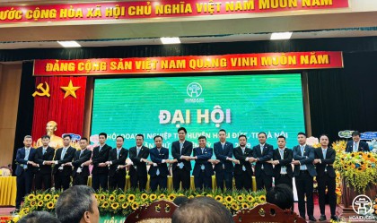 Hội Doanh nghiệp trẻ Hoài Đức: Đồng Hành Cùng Hội Viên Vững Bước Trong Giai Đoạn Phát Triển Mới Với 04 Đơn Vị Hành Chính Cấp Xã Mở Rộng